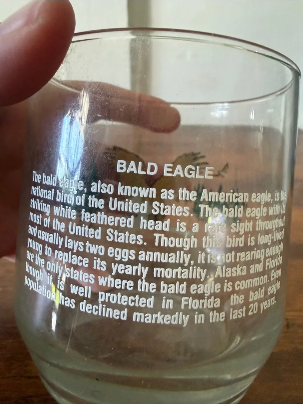 Eagle Glass Tumbler with Forest Scene